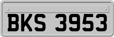 BKS3953