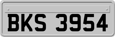 BKS3954