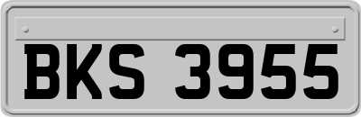 BKS3955