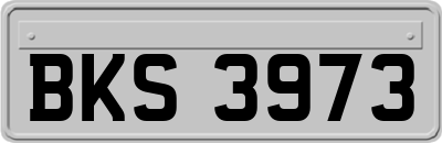 BKS3973