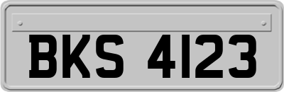 BKS4123