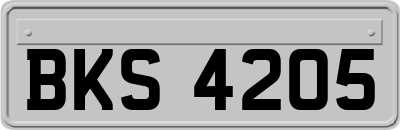 BKS4205