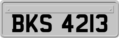 BKS4213