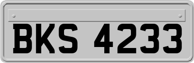 BKS4233