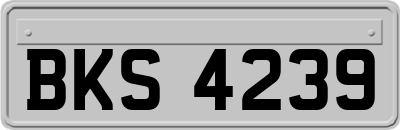 BKS4239