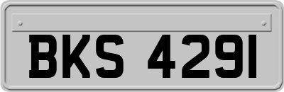 BKS4291