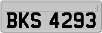 BKS4293