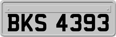 BKS4393