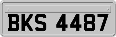 BKS4487