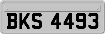 BKS4493