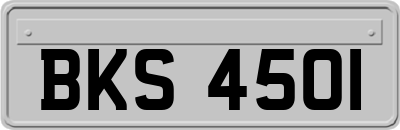 BKS4501