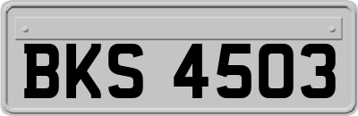 BKS4503