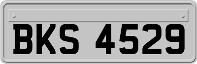 BKS4529