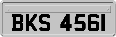 BKS4561