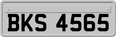 BKS4565
