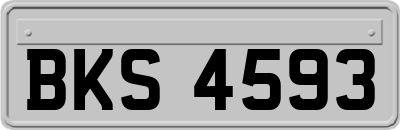 BKS4593