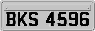 BKS4596