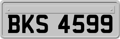 BKS4599
