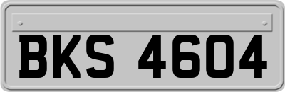 BKS4604