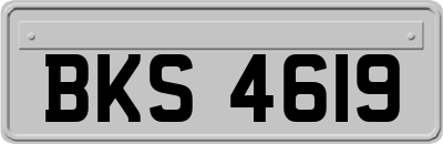 BKS4619