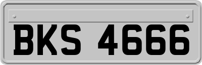 BKS4666