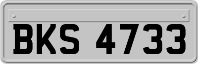 BKS4733
