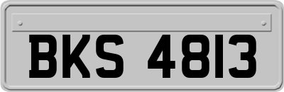 BKS4813