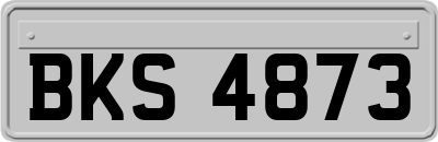 BKS4873