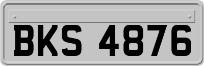 BKS4876