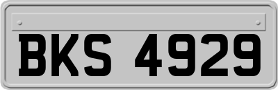 BKS4929