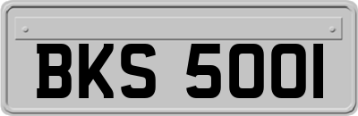 BKS5001