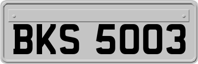 BKS5003