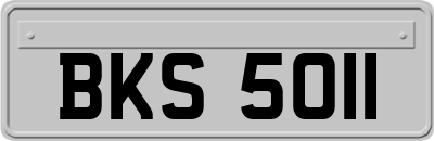 BKS5011