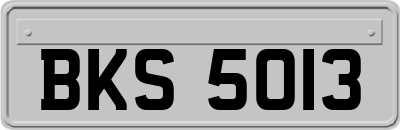 BKS5013