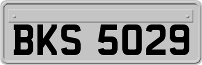 BKS5029