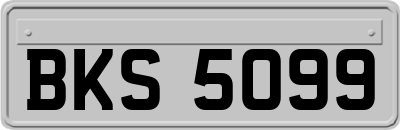 BKS5099