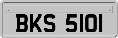 BKS5101