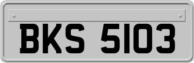BKS5103