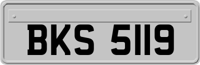 BKS5119