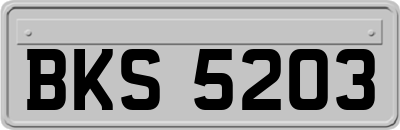 BKS5203