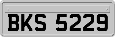 BKS5229