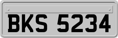 BKS5234