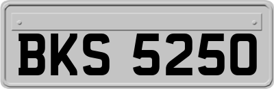 BKS5250