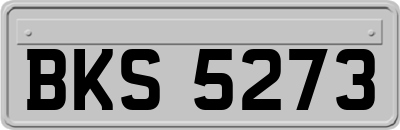 BKS5273
