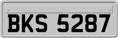BKS5287