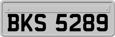 BKS5289