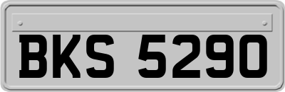BKS5290
