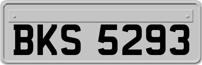 BKS5293