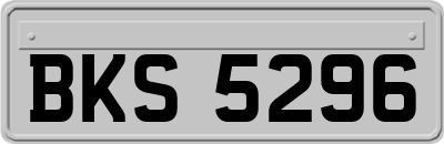 BKS5296