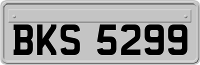 BKS5299